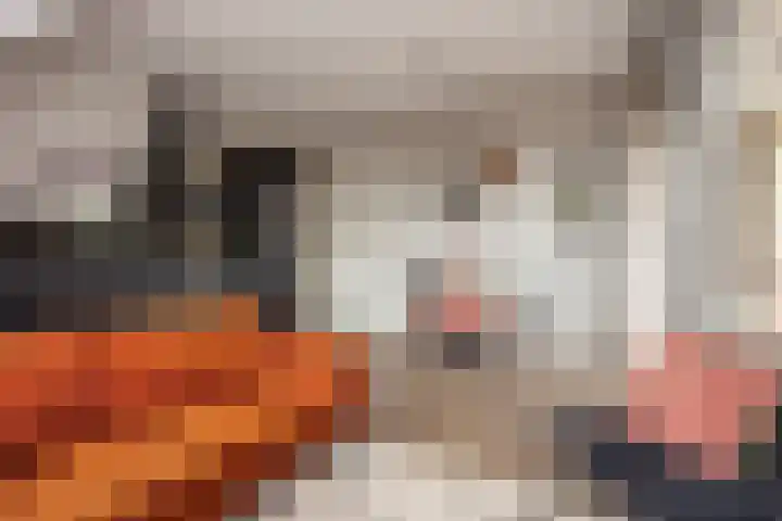 Sophiehof 3 Harmelen thumbnail 11