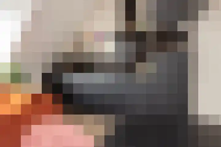 Sophiehof 3 Harmelen thumbnail 12