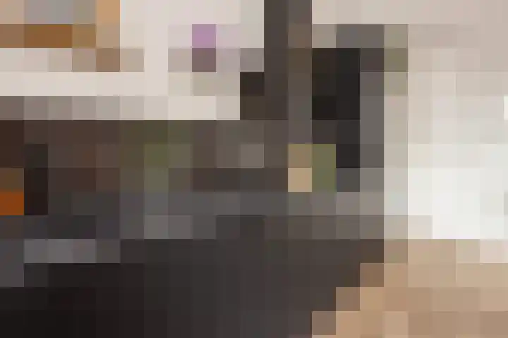 Sophiehof 3 Harmelen thumbnail 13