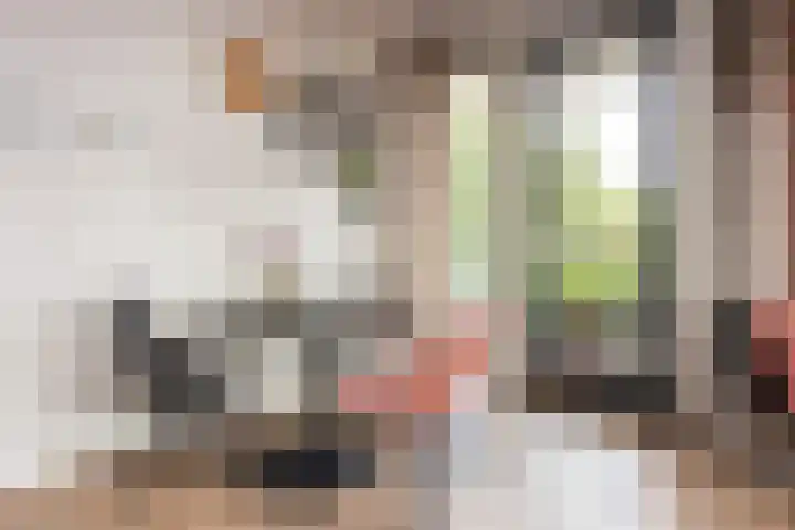 Sophiehof 3 Harmelen thumbnail 14