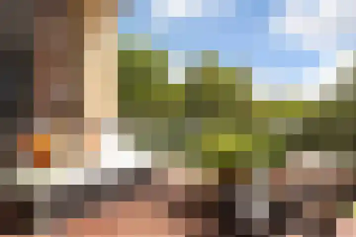 Sophiehof 3 Harmelen thumbnail 15