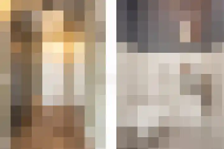 Sophiehof 3 Harmelen thumbnail 16