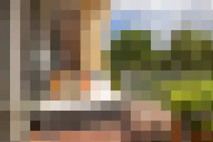 Sophiehof 3 Harmelen thumbnail 18