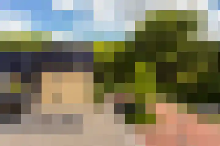 Sophiehof 3 Harmelen thumbnail 25