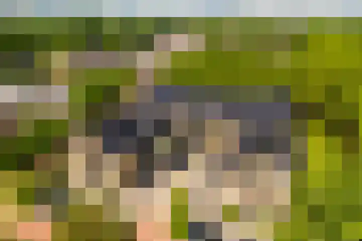 Sophiehof 3 Harmelen thumbnail 33