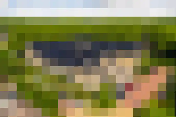 Sophiehof 3 Harmelen thumbnail 35