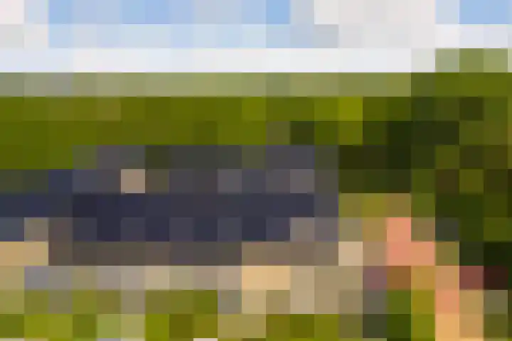 Sophiehof 3 Harmelen thumbnail 38