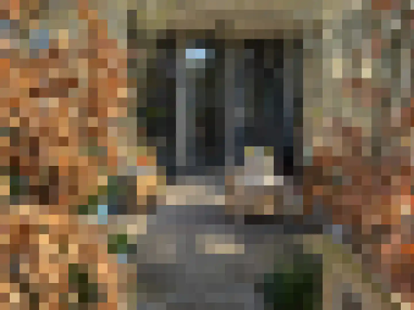 Sophiehof 8 Harmelen thumbnail 23