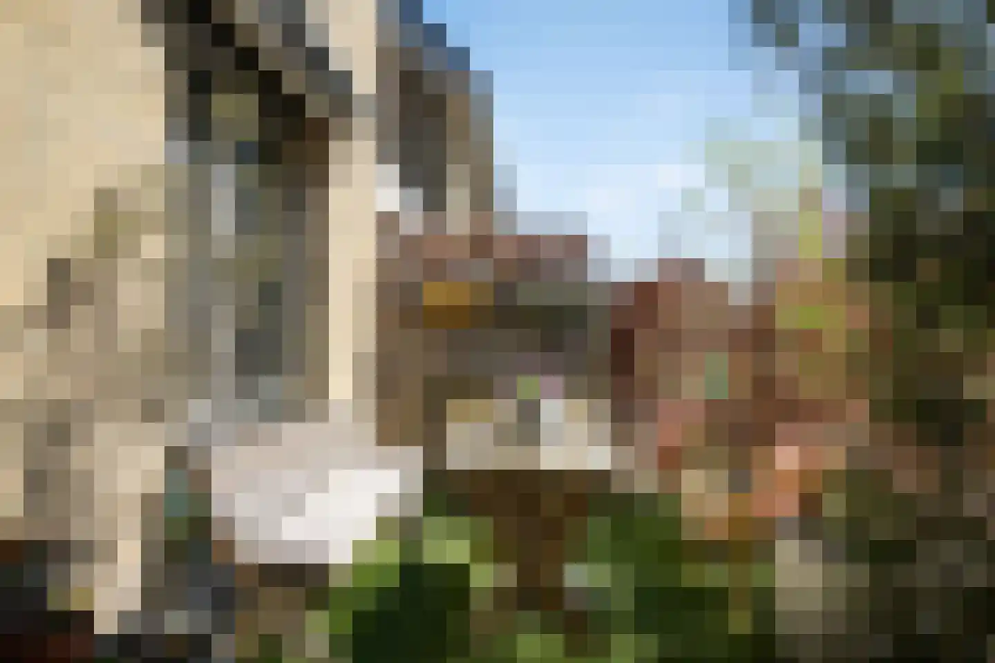 Sophiehof 8 Harmelen thumbnail 24