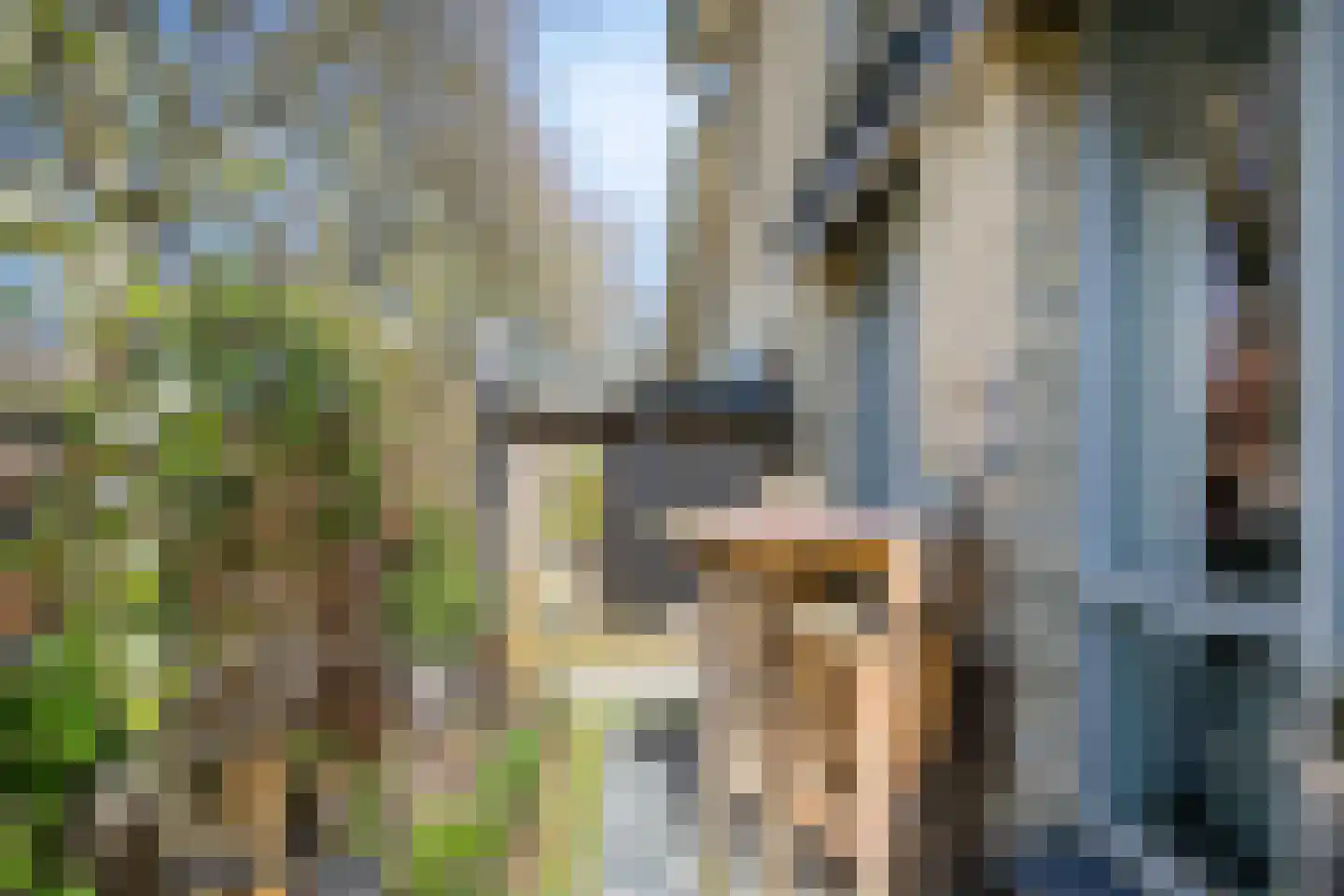 Sophiehof 8 Harmelen thumbnail 26