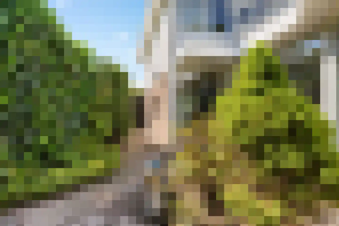 Sophielaan 11 Emmen thumbnail 49
