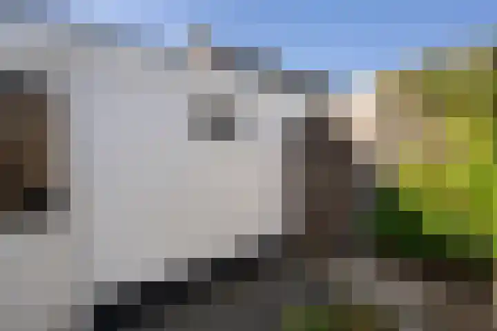 Sophiestraat 12 Weert thumbnail 39
