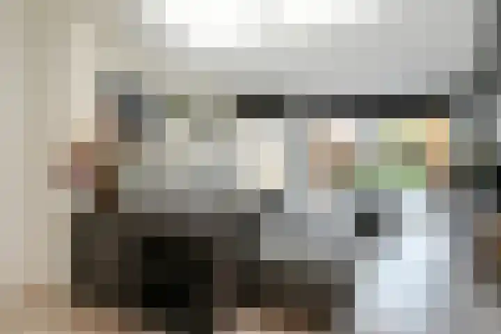 Sophiestraat 28 Weert thumbnail 13