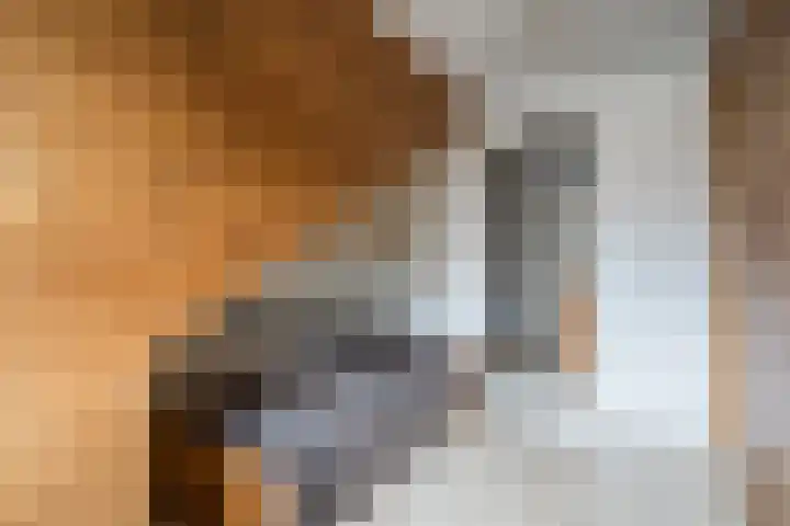 Sophiestraat 9 Weert thumbnail 32