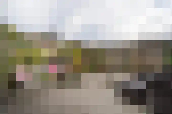 Sophiestraat 9 Weert thumbnail 39