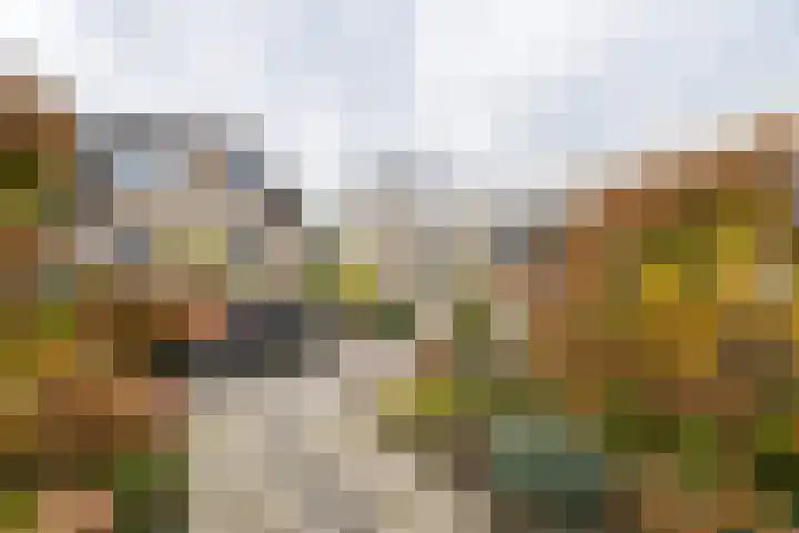 Sophiestraat 9 Weert thumbnail 41