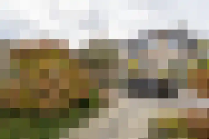 Sophiestraat 9 Weert thumbnail 42
