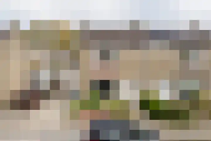 Sophiestraat 9 Weert thumbnail 44