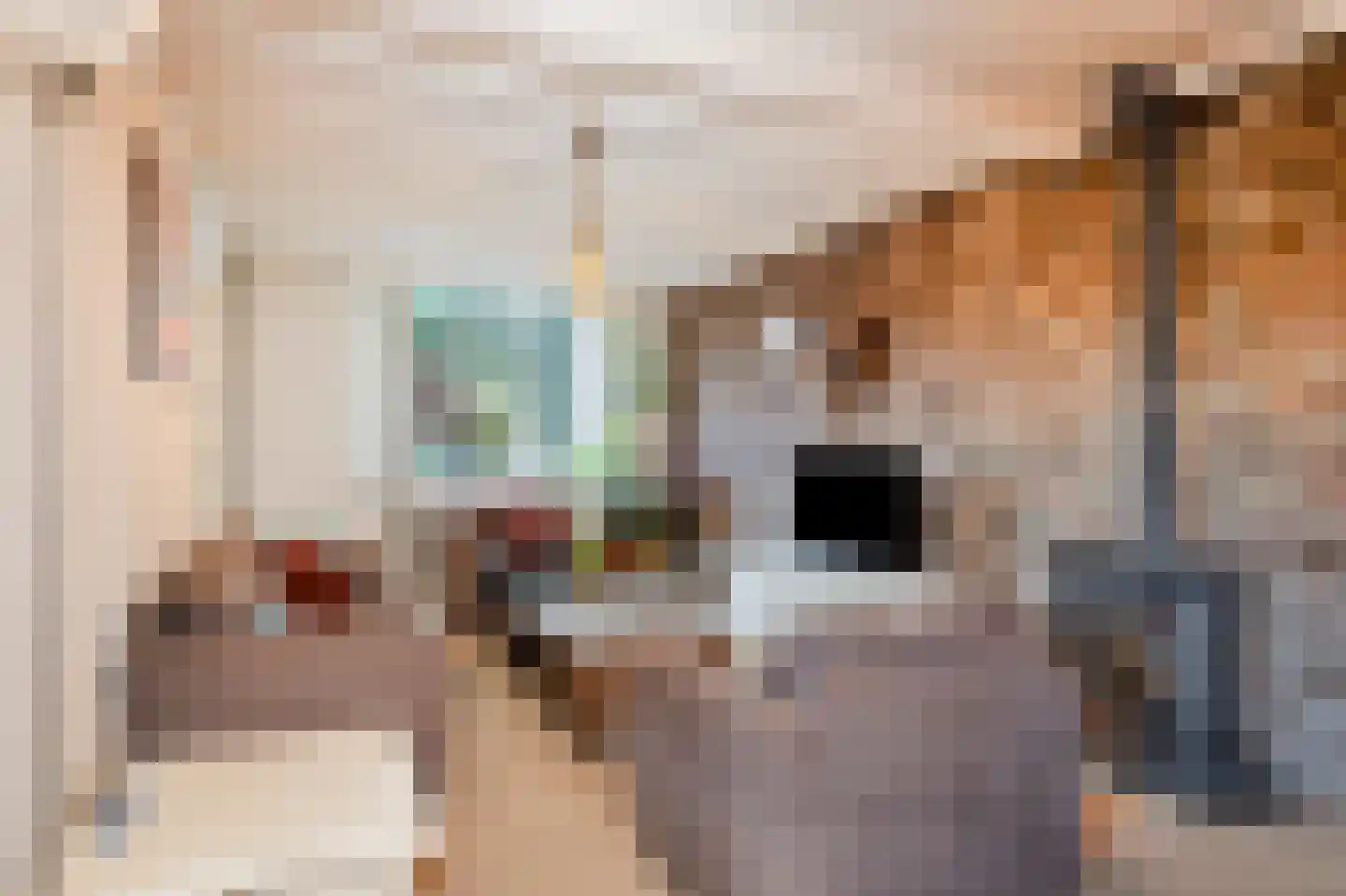 Soppestraat 26 Spaubeek thumbnail 24