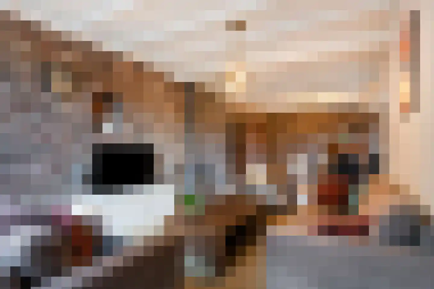 Soppestraat 26 Spaubeek thumbnail 26