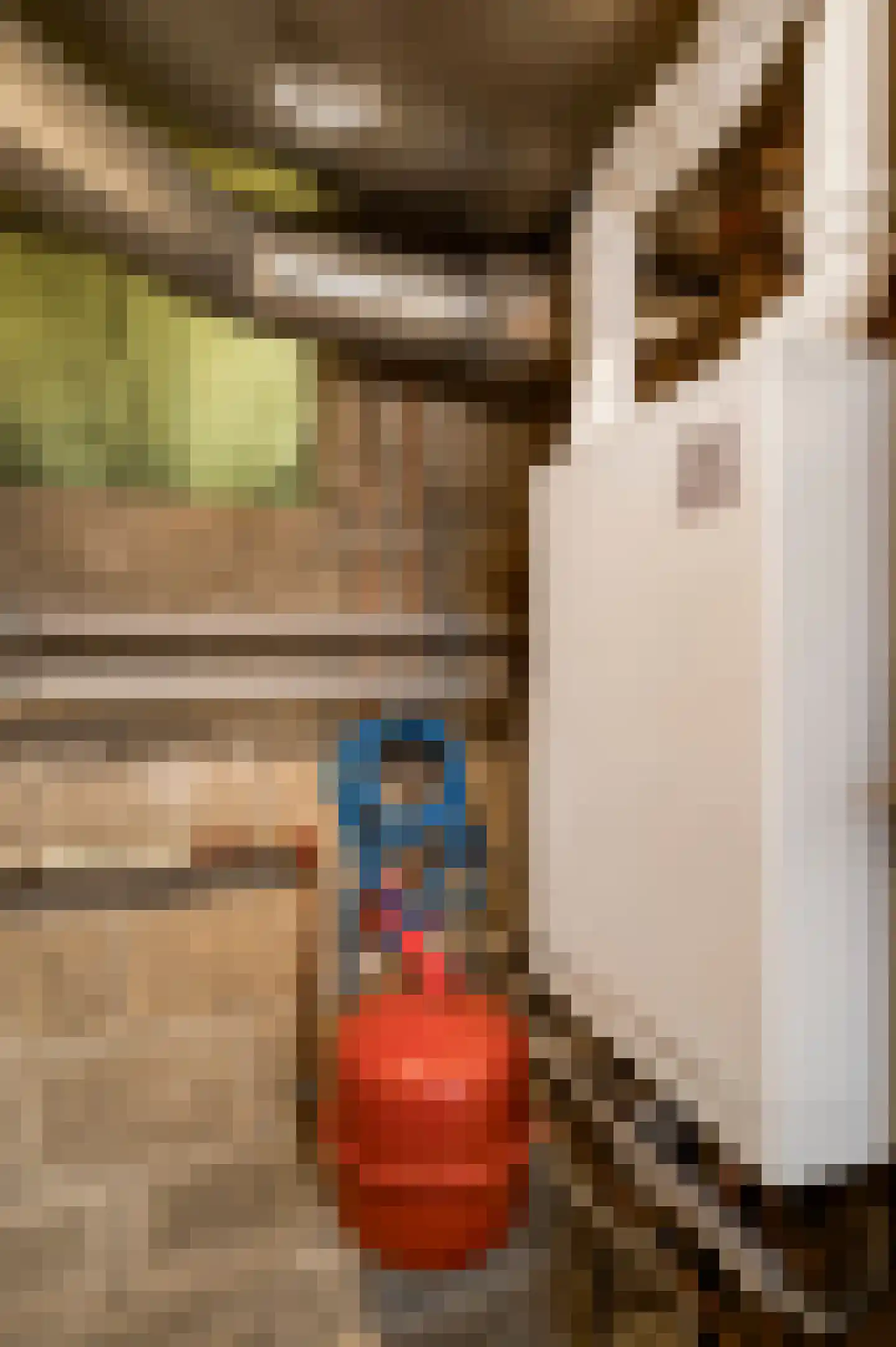 Soppestraat 9 Spaubeek thumbnail 46