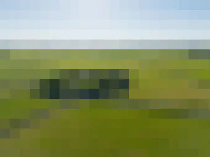 Sopsum 6 Achlum thumbnail 10