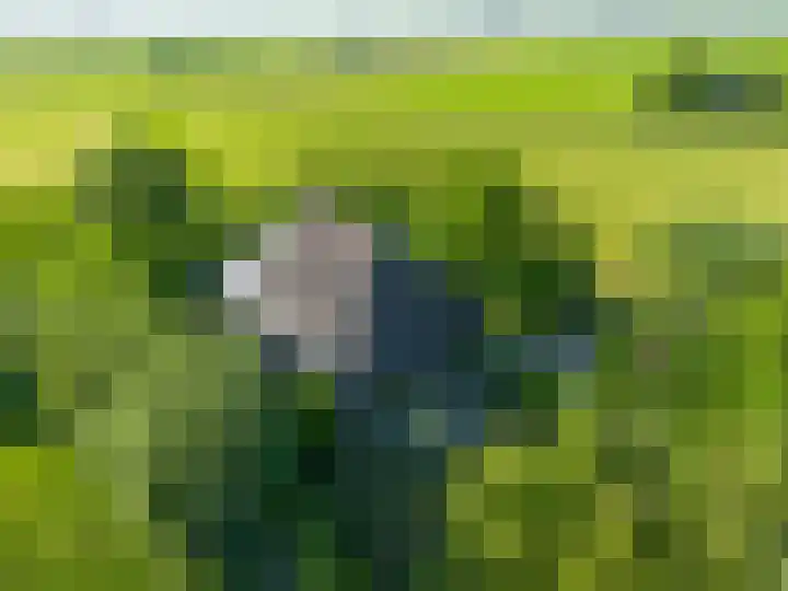Sopsum 6 Achlum thumbnail 12