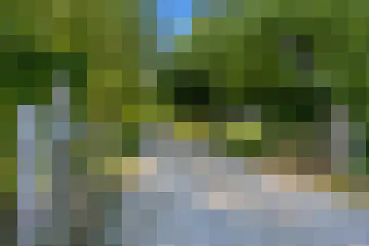 Sopsum 6 Achlum thumbnail 13