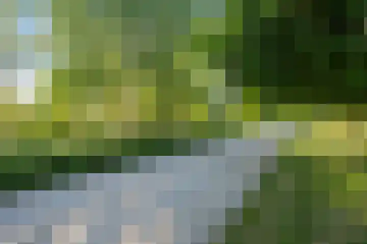 Sopsum 6 Achlum thumbnail 15