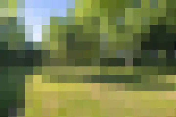 Sopsum 6 Achlum thumbnail 16