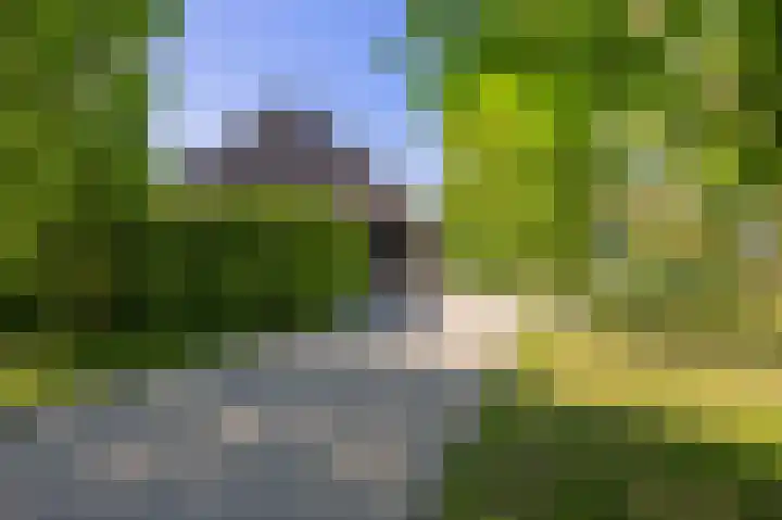 Sopsum 6 Achlum thumbnail 17