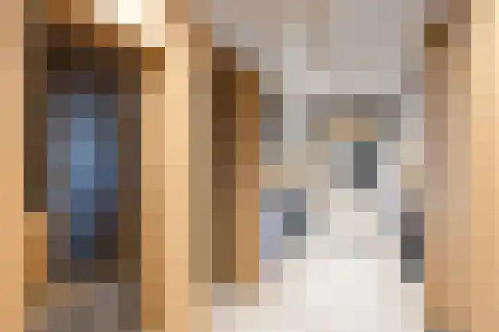 Sopsum 6 Achlum thumbnail 26