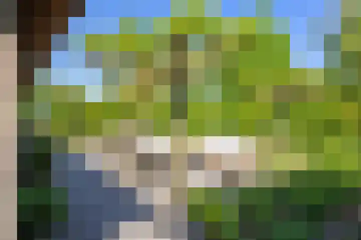 Sopsum 6 Achlum thumbnail 48