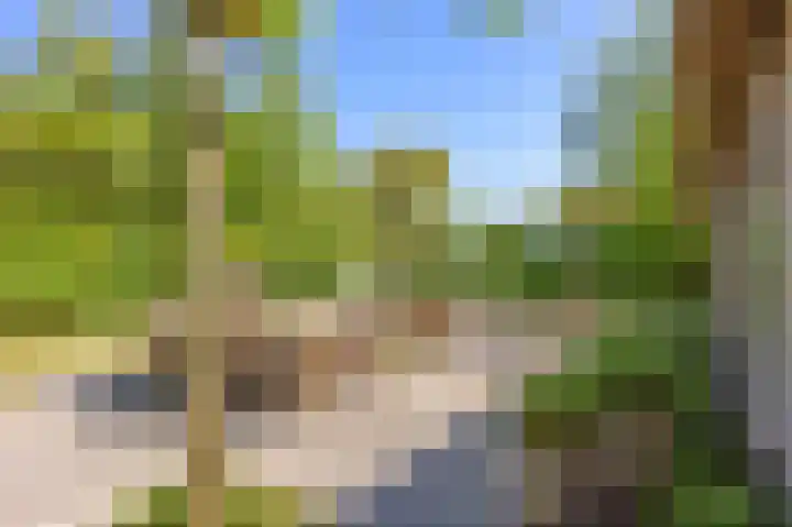 Sopsum 6 Achlum thumbnail 49