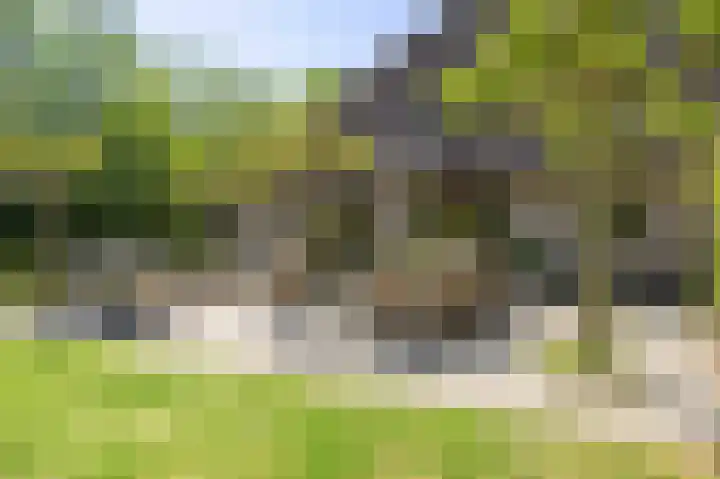 Sopsum 6 Achlum thumbnail 50