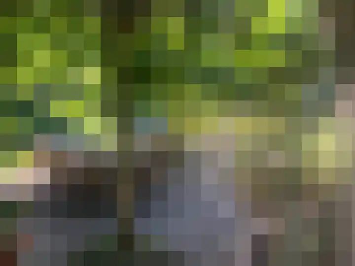 Sopsum 6 Achlum thumbnail 53