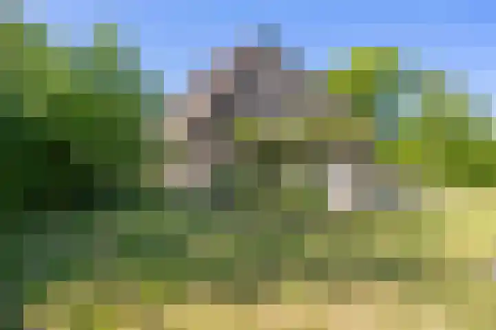 Sopsum 6 Achlum thumbnail 54