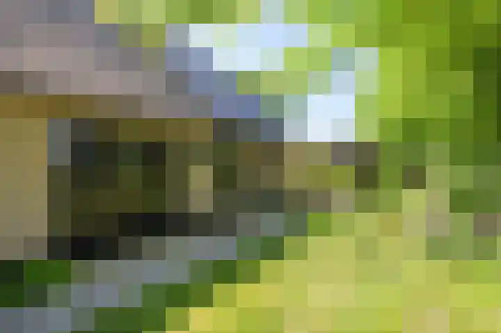 Sopsum 6 Achlum thumbnail 55
