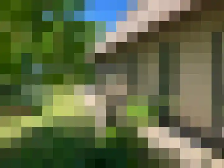 Sopsum 6 Achlum thumbnail 56