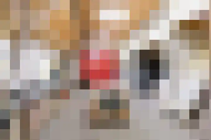Sopsum 6 Achlum thumbnail 66