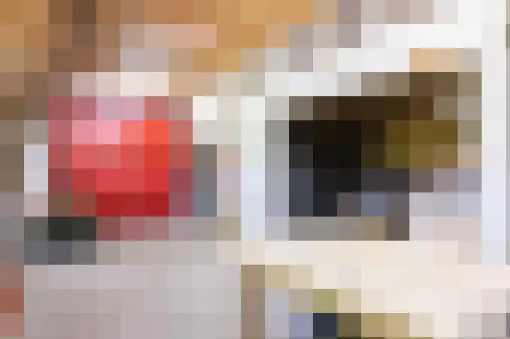 Sopsum 6 Achlum thumbnail 67