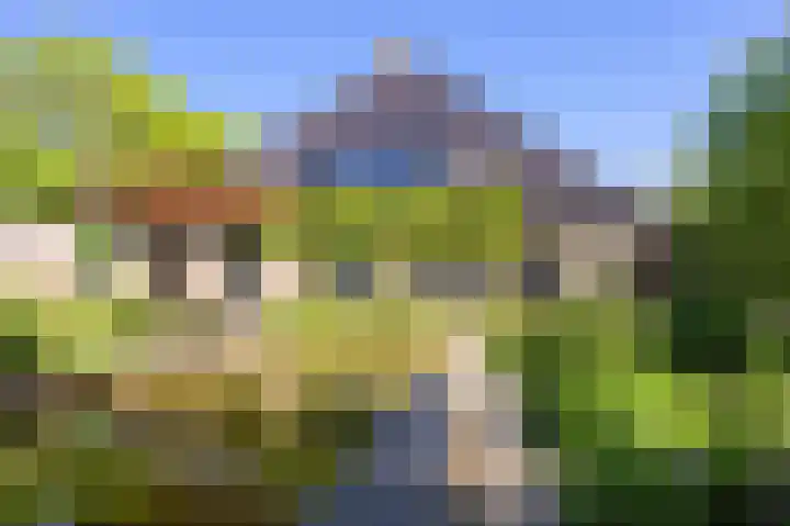 Sopsum 6 Achlum thumbnail 71