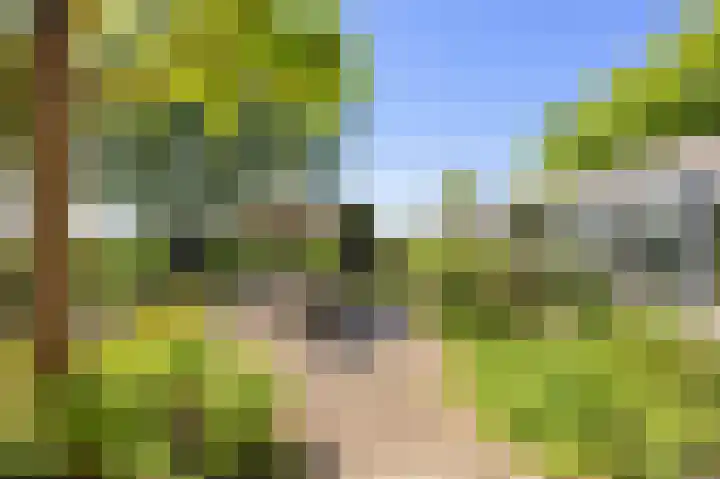 Sopsum 6 Achlum thumbnail 73
