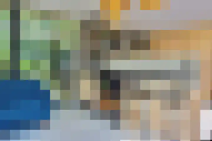 Sopsum 6 Achlum thumbnail 77