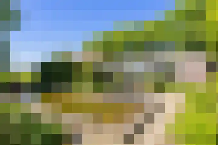 Sopsum 6 Achlum thumbnail 8