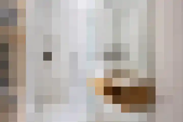 Sopsum 6 Achlum thumbnail 80