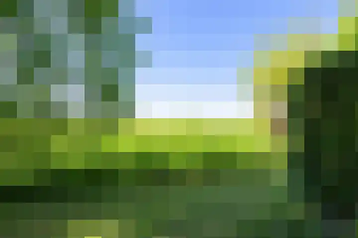 Sopsum 6 Achlum thumbnail 83