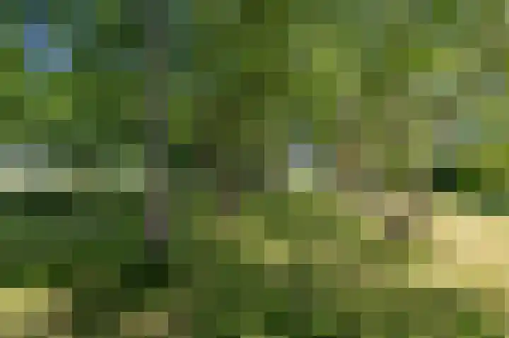 Sopsum 6 Achlum thumbnail 85
