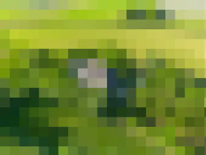 Sopsum 6 Achlum thumbnail 86