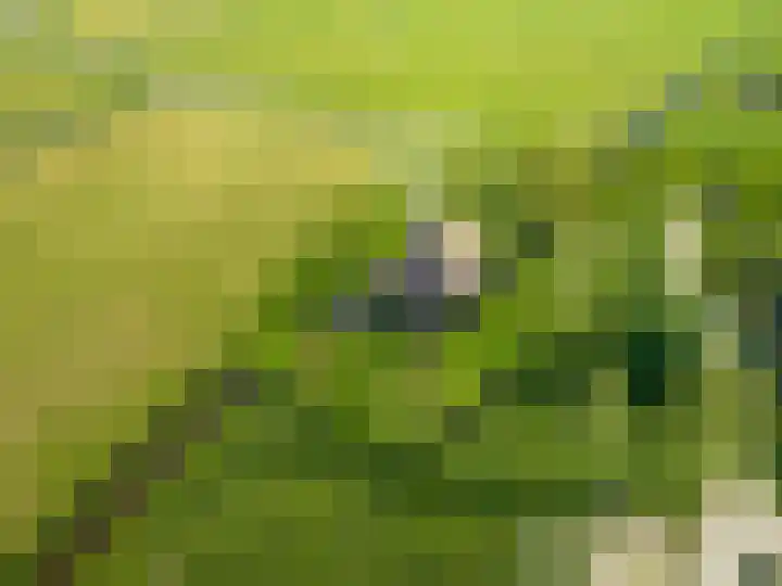 Sopsum 6 Achlum thumbnail 87